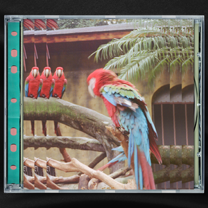 圣子尿尿的地方
