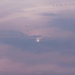 圣子尿尿的地方
