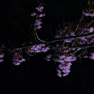 圣子尿尿的地方
